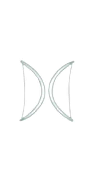 Villa Butterfly Logo